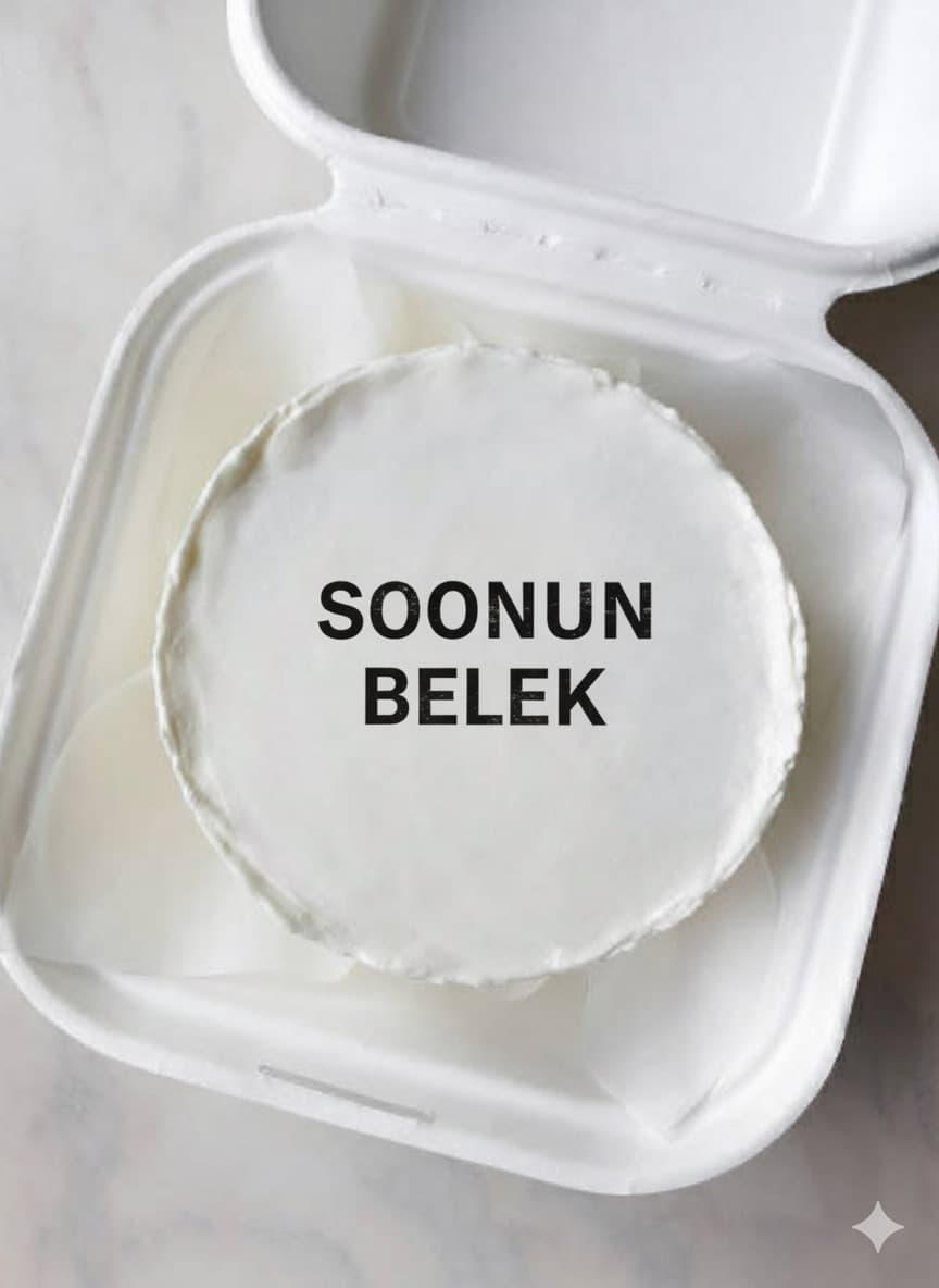 Бентоторт - изображение 1