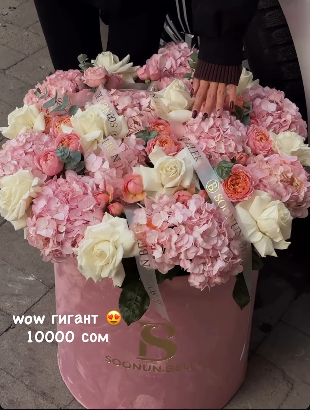 WOW гигант - изображение 1